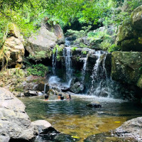 Tourdongphongnhavuonthucvat 1