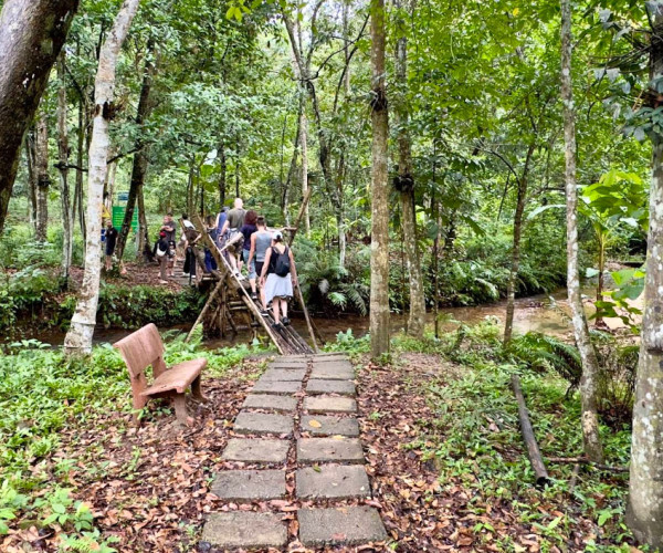 Tourdongphongnhavuonthucvat 4