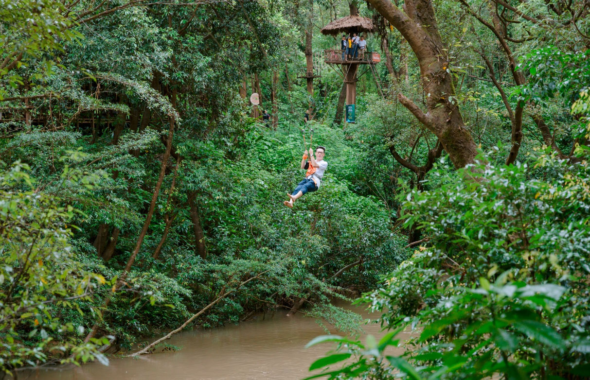 Đu dây Zipline