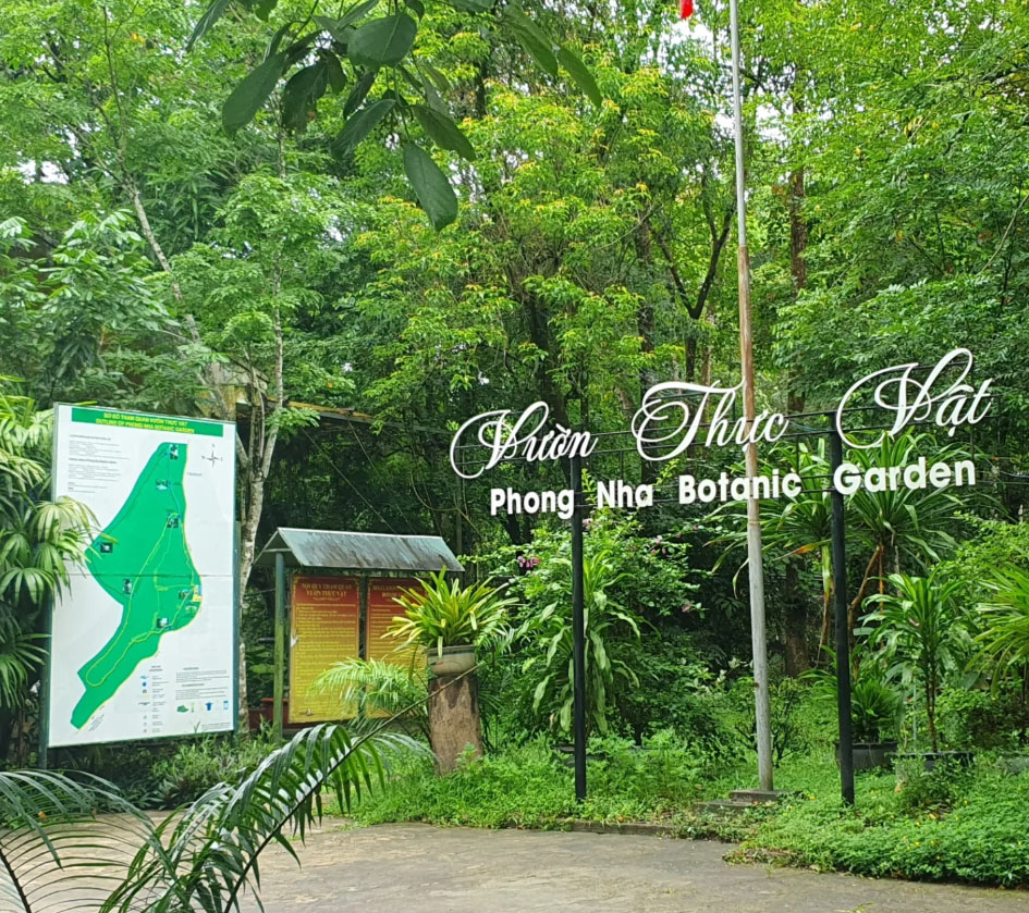 Vườn thực vật Phong Nha